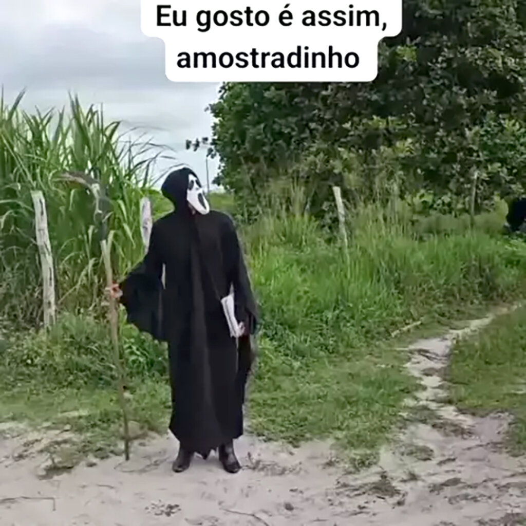 O meme de cada signo no Carnaval - Leão