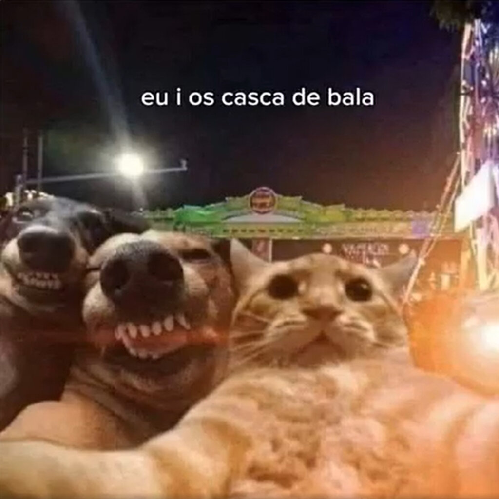 O meme de cada signo no Carnaval - Câncer