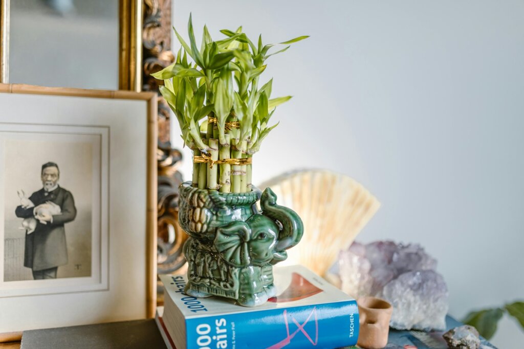 Feng Shui de Primavera